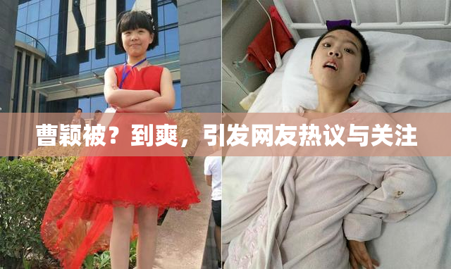 曹颖被？到爽，引发网友热议与关注