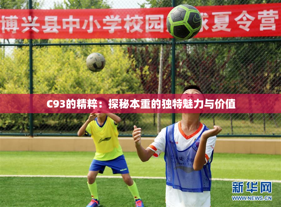 C93的精粹：探秘本重的独特魅力与价值