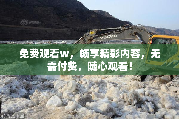 免费观看w，畅享精彩内容，无需付费，随心观看！