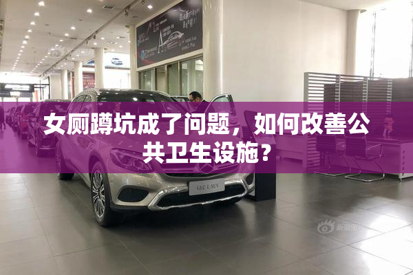 女厕蹲坑成了问题，如何改善公共卫生设施？