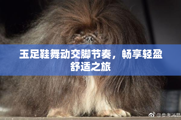 玉足鞋舞动交脚节奏，畅享轻盈舒适之旅