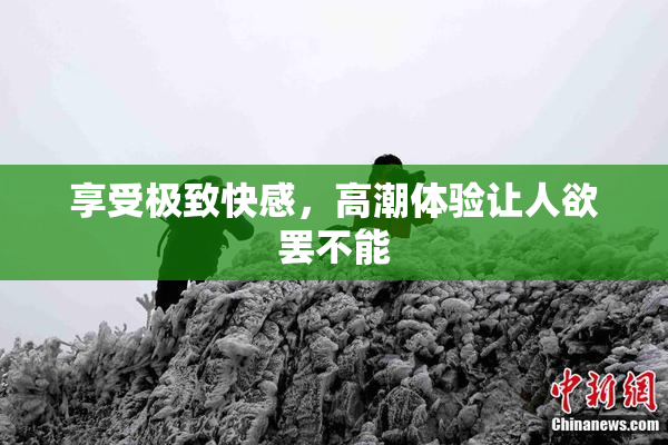 享受极致快感，高潮体验让人欲罢不能