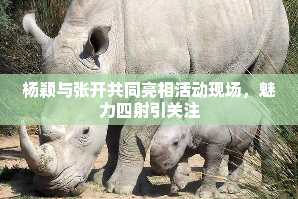 杨颖与张开共同亮相活动现场，魅力四射引关注