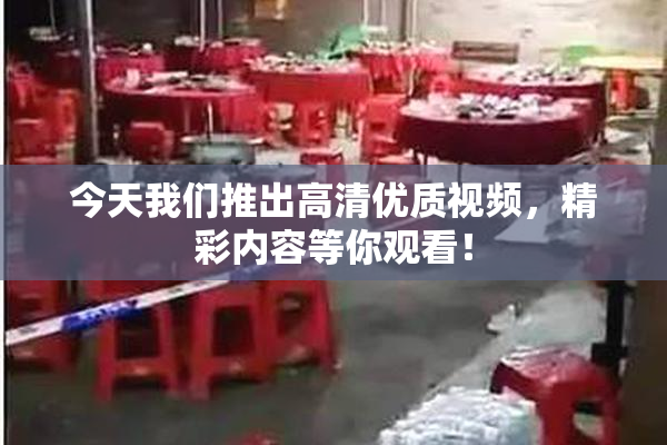 今天我们推出高清优质视频，精彩内容等你观看！