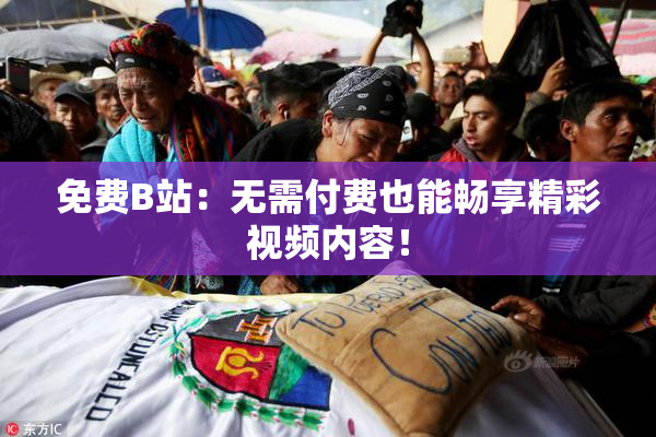 免费B站：无需付费也能畅享精彩视频内容！