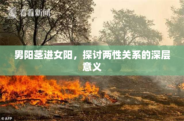 男阳茎进女阳，探讨两性关系的深层意义