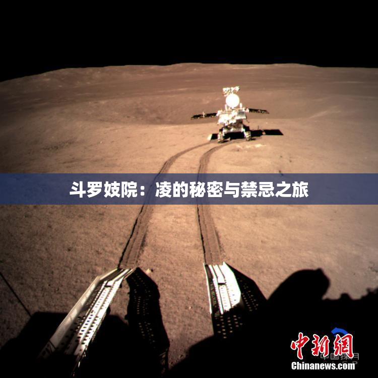 斗罗妓院：凌的秘密与禁忌之旅