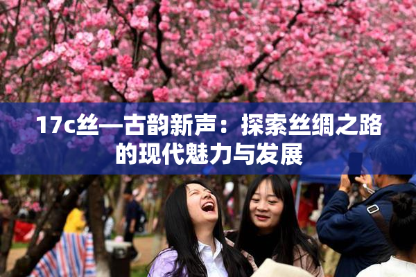 17c丝—古韵新声：探索丝绸之路的现代魅力与发展