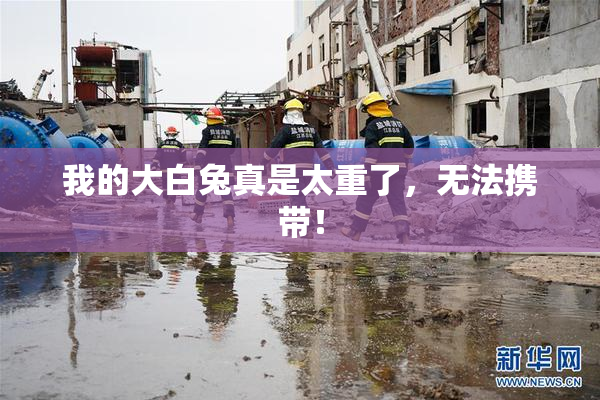 我的大白兔真是太重了，无法携带！