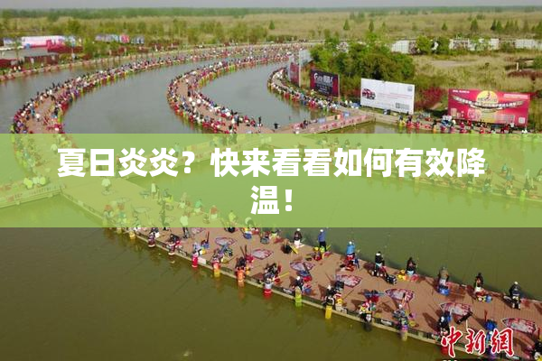 夏日炎炎？快来看看如何有效降温！