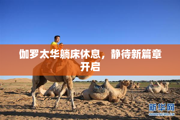 伽罗太华躺床休息，静待新篇章开启