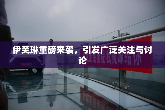 伊芙琳重磅来袭，引发广泛关注与讨论