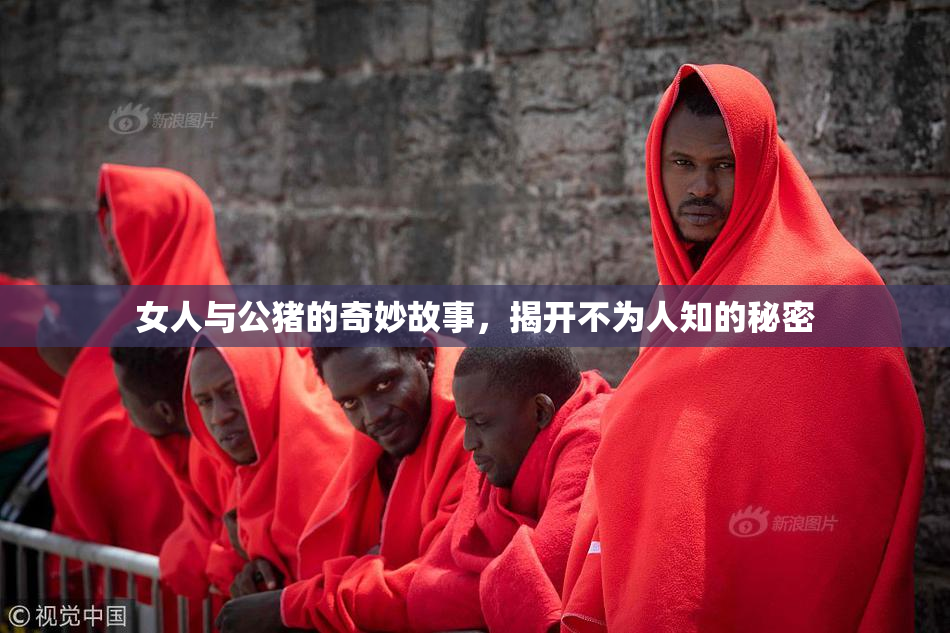 女人与公猪的奇妙故事，揭开不为人知的秘密