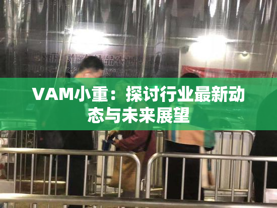 VAM小重：探讨行业最新动态与未来展望