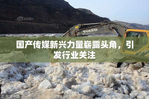 国产传媒新兴力量崭露头角，引发行业关注