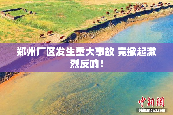 郑州厂区发生重大事故 竟掀起激烈反响！