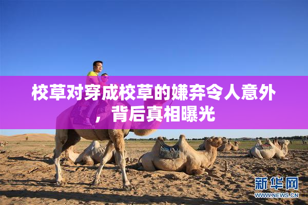 校草对穿成校草的嫌弃令人意外，背后真相曝光
