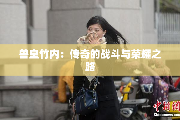 兽皇竹内：传奇的战斗与荣耀之路