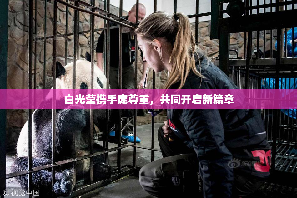 白光莹携手庞尊重，共同开启新篇章