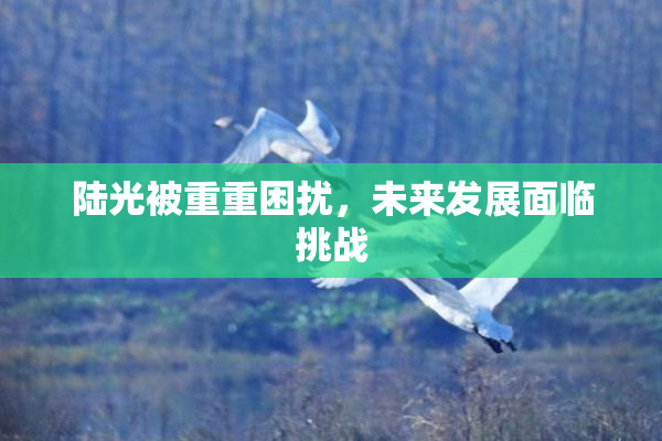 陆光被重重困扰，未来发展面临挑战