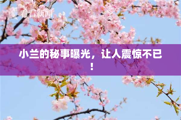 小兰的秘事曝光，让人震惊不已！