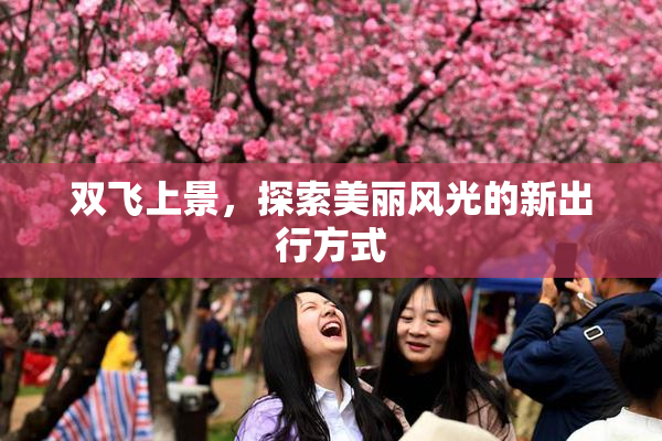 双飞上景，探索美丽风光的新出行方式