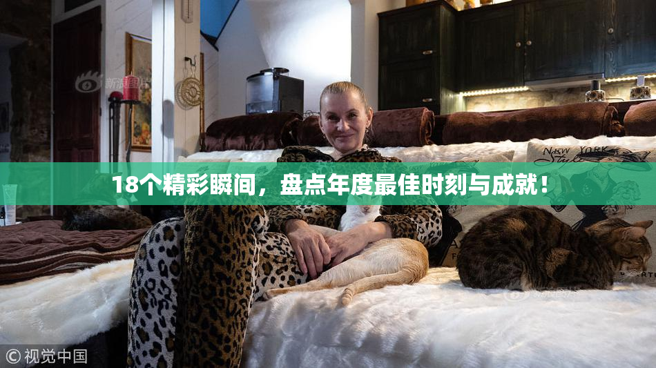 18个精彩瞬间，盘点年度最佳时刻与成就！