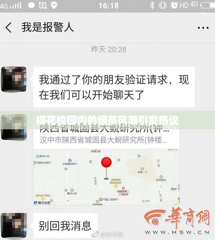 樱花校园内的绿茶风潮引发热议
