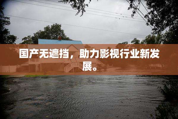 国产无遮挡，助力影视行业新发展。