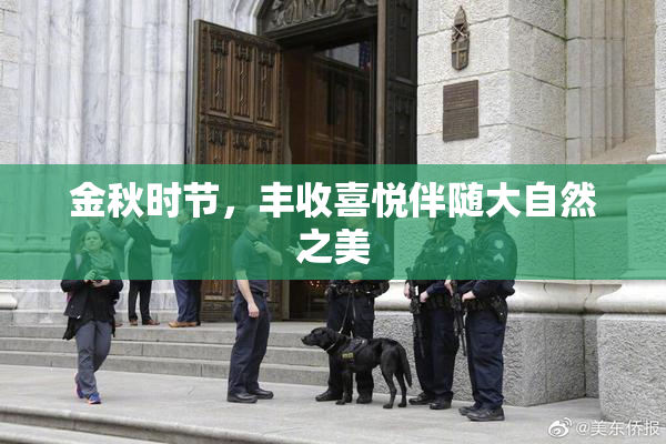 金秋时节，丰收喜悦伴随大自然之美