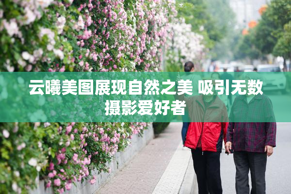 云曦美图展现自然之美 吸引无数摄影爱好者