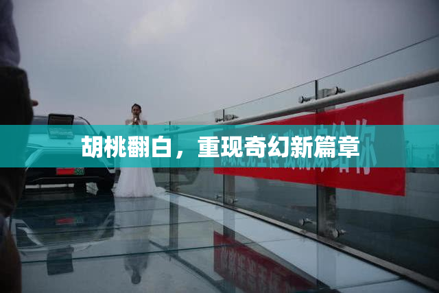 胡桃翻白，重现奇幻新篇章