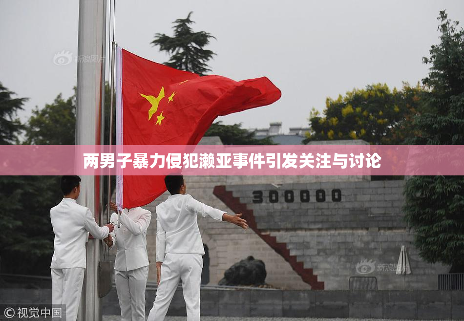 两男子暴力侵犯濑亚事件引发关注与讨论