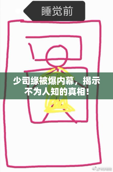 少司缘被爆内幕，揭示不为人知的真相！
