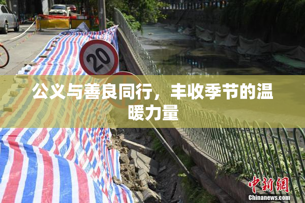 公义与善良同行，丰收季节的温暖力量