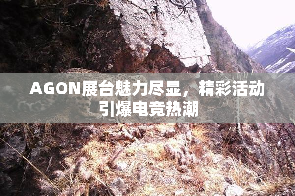AGON展台魅力尽显，精彩活动引爆电竞热潮