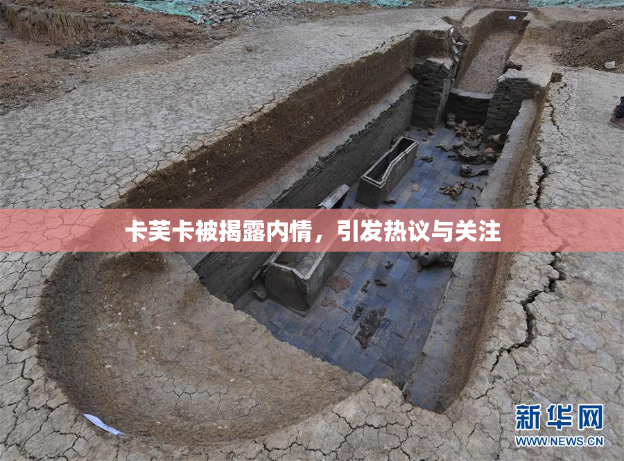 卡芙卡被揭露内情，引发热议与关注