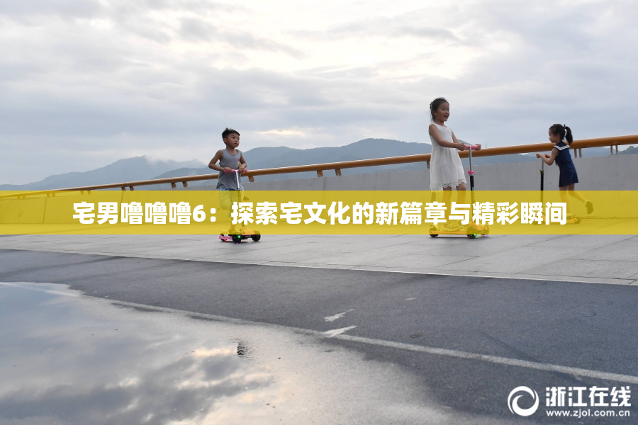 宅男噜噜噜6：探索宅文化的新篇章与精彩瞬间