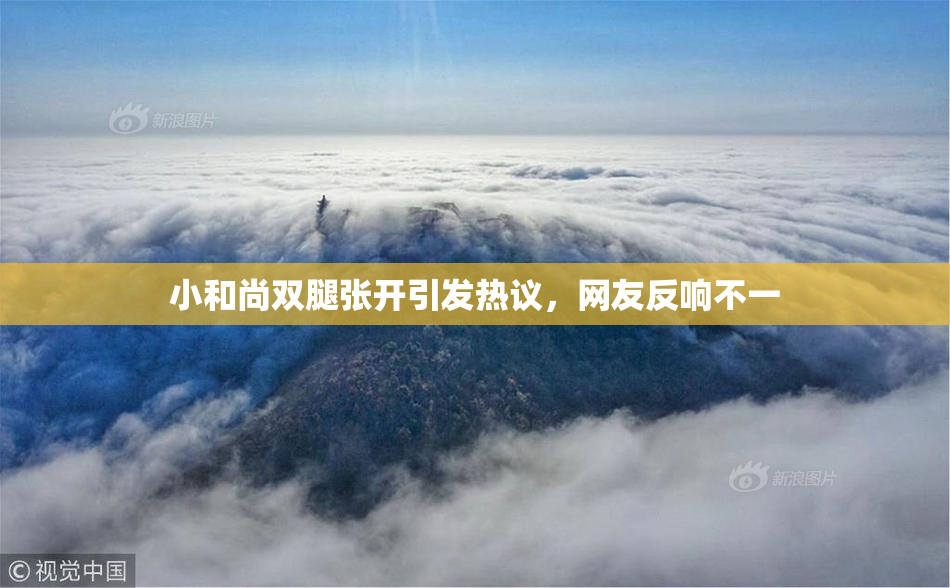 小和尚双腿张开引发热议，网友反响不一