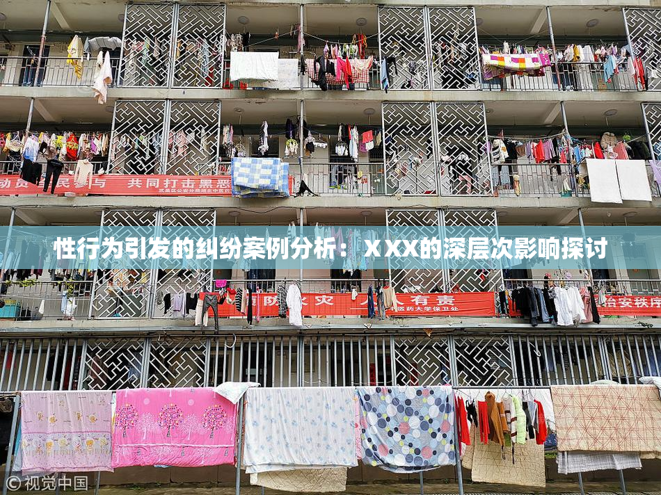 性行为引发的纠纷案例分析：ⅩXX的深层次影响探讨