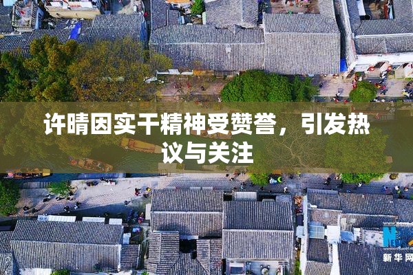 许晴因实干精神受赞誉，引发热议与关注