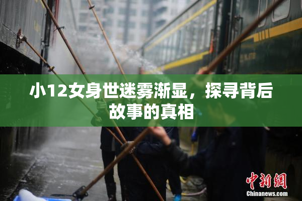 小12女身世迷雾渐显，探寻背后故事的真相