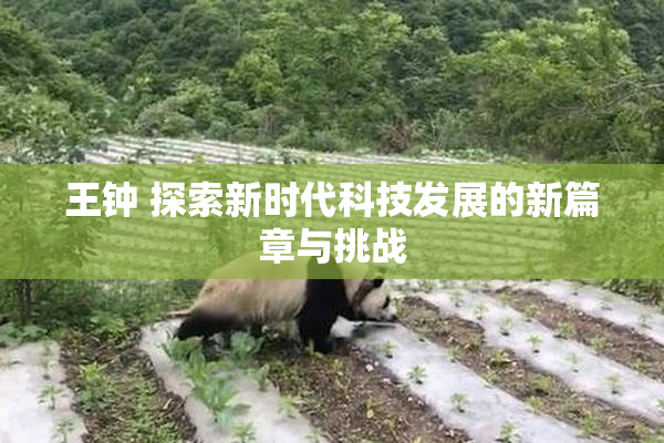 王钟 探索新时代科技发展的新篇章与挑战