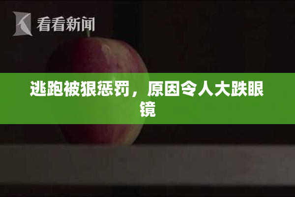 逃跑被狠惩罚，原因令人大跌眼镜