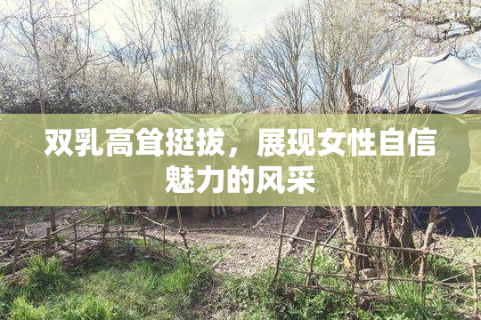 双乳高耸挺拔，展现女性自信魅力的风采