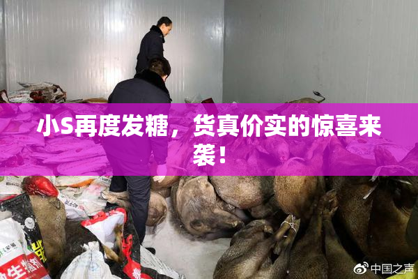 小S再度发糖，货真价实的惊喜来袭！