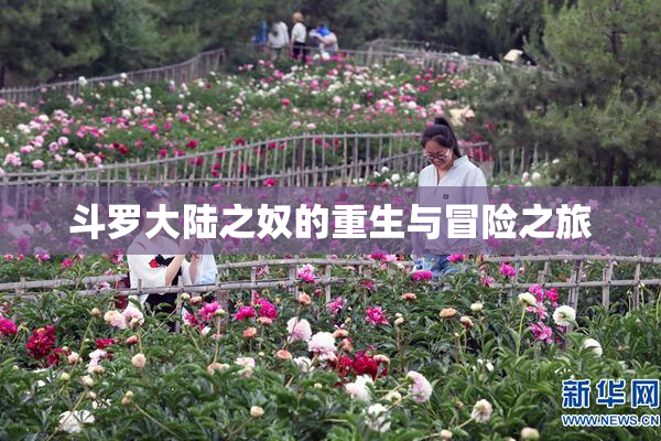 斗罗大陆之奴的重生与冒险之旅