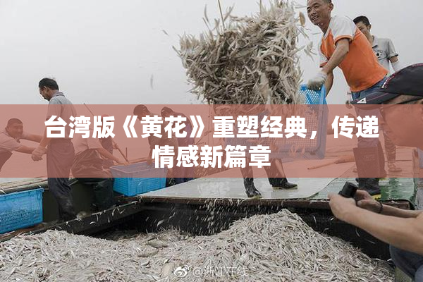 台湾版《黄花》重塑经典，传递情感新篇章