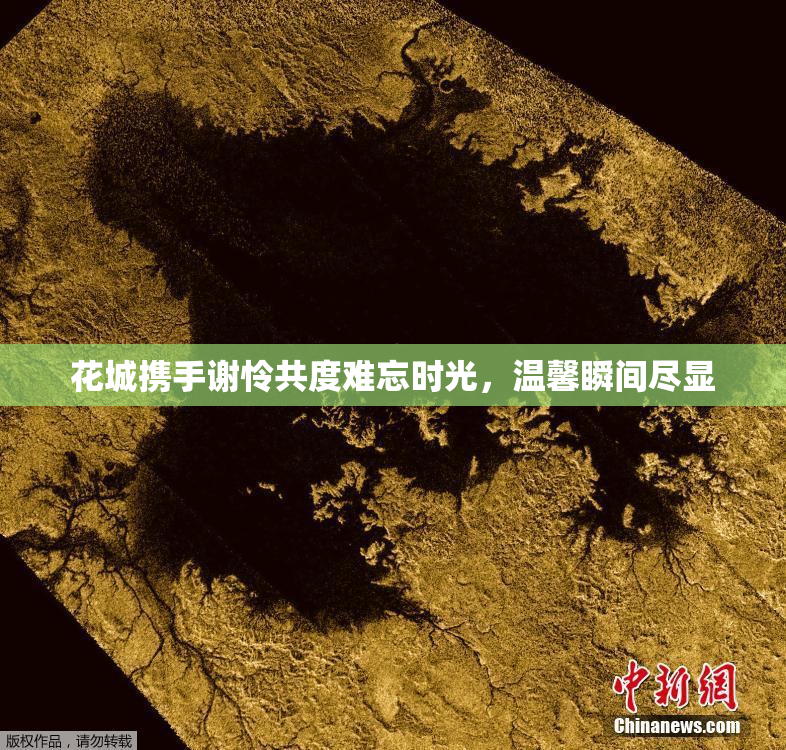 花城携手谢怜共度难忘时光，温馨瞬间尽显