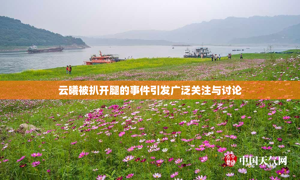 云曦被扒开腿的事件引发广泛关注与讨论